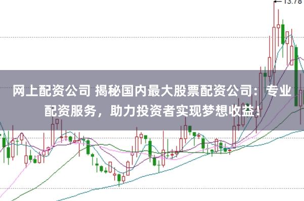 网上配资公司 揭秘国内最大股票配资公司：专业配资服务，助力投资者实现梦想收益！