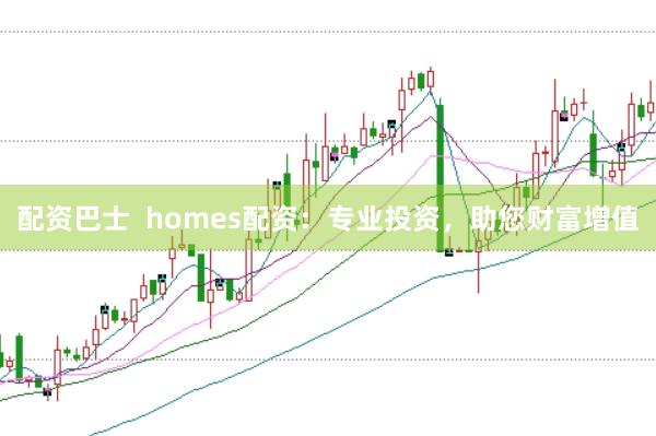 配资巴士  homes配资：专业投资，助您财富增值