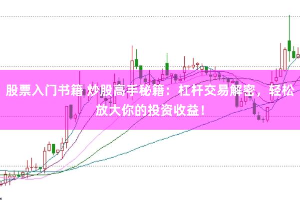 股票入门书籍 炒股高手秘籍：杠杆交易解密，轻松放大你的投资收益！