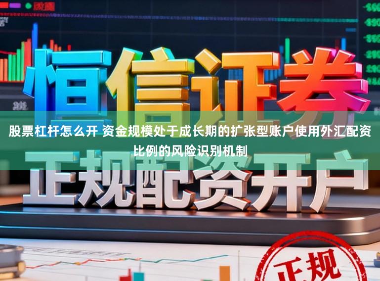 股票杠杆怎么开 资金规模处于成长期的扩张型账户使用外汇配资比例的风险识别机制