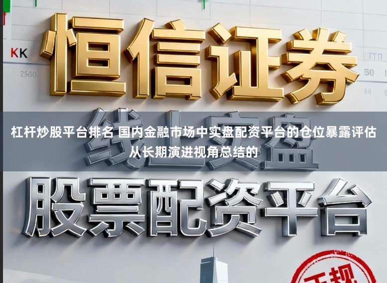 杠杆炒股平台排名 国内金融市场中实盘配资平台的仓位暴露评估从长期演进视角总结的