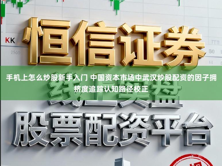 手机上怎么炒股新手入门 中国资本市场中武汉炒股配资的因子拥挤度追踪认知路径校正